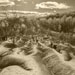 caledon